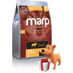 Marp Holistic Lamb ALS Grain Free 2 kg – Zboží Mobilmania