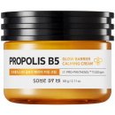 Some By Mi Propolis B5 Glow Barrier Calming Cream 60 g