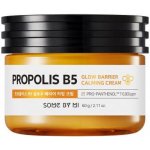 Some By Mi Propolis B5 Glow Barrier Calming Cream 60 g – Hledejceny.cz