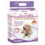 Record plenová podložka BestBone 60 x 90 cm 682 g 10 ks – Sleviste.cz