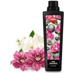 Dedra avivážní kondicionér lila fashion 750 ml – Hledejceny.cz