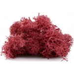 Islandský mech 12 g - bordový – Sleviste.cz