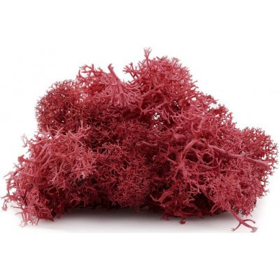 Islandský mech 12 g - bordový – Sleviste.cz