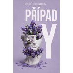 Případ Y – Hledejceny.cz