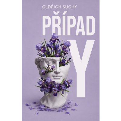 Případ Y – Hledejceny.cz