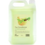 So Posh Im So Conditioner Basic line 5000 ml – Hledejceny.cz