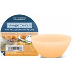 Yankee Candle Mango Ice Cream Vosk do aromalampy 22 g – Sleviste.cz