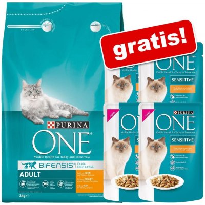 Purina ONE Indoor Formula krůtí 3 kg