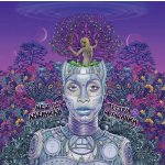 Erykah Badu - New Amerykah Part Two - Opaque Violet LP – Hledejceny.cz