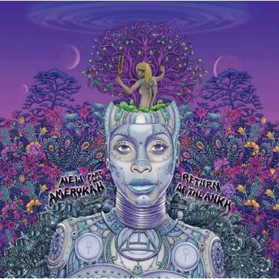 Erykah Badu - New Amerykah Part Two - Opaque Violet LP – Hledejceny.cz