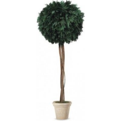 Thuja ball na kmínku 100 cm – Zboží Mobilmania