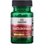 Swanson Nattokinase 100 mg 30 kapslí – Hledejceny.cz
