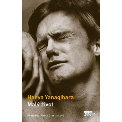 Yanagihara Hanya: Malý život