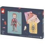 Janod magnetická skládačka Lidské tělo – Zboží Dáma