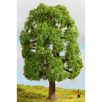 Noch Jasan – Zboží Dáma