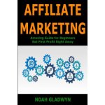 Affiliate Marketing: Amazing Guide for Beginners Get First Profit Right Away – Hledejceny.cz