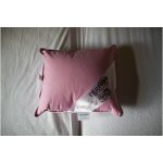 Termop Peřový polštář Classic 40x40 – Sleviste.cz