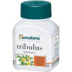 Himalaya Tribulus 60 kapslí – Hledejceny.cz