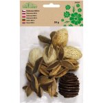 Nohel Garden Dekorace sušiny MIX 6 50g – Hledejceny.cz