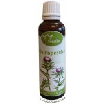 Serafin Ostropestřec tinktura z byliny 50 ml – Hledejceny.cz