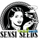 Sensi Seeds Double Kush Cake Auto semena neobsahují THC 5 ks
