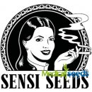 Sensi Seeds Double Kush Cake Auto semena neobsahují THC 1 ks