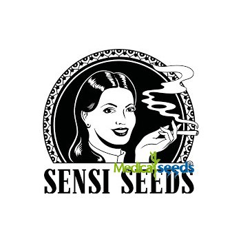 Sensi Seeds Double Kush Cake Auto semena neobsahují THC 3 ks