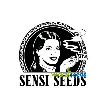 Sensi Seeds Double Kush Cake Auto semena neobsahují THC 5 ks