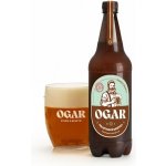 Ogar Polotmavá desítka 10° 4% 1 l (pet) – Sleviste.cz
