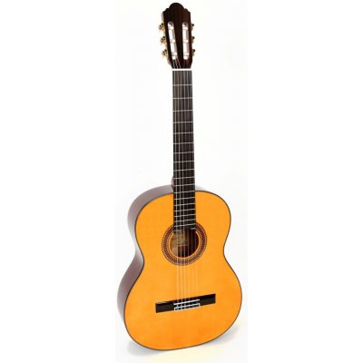 Pablo Vitaso VCG-40S + EQ Fishman PSY-101 – Zboží Dáma