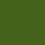 Derwent Procolour 51 Foliage – Zboží Živě