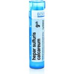 HEPAR SULFURIS CALCAREUM POR 9CH GRA 4G – Hledejceny.cz