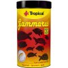 Krmivo terarijní Tropical Gammarus 100 ml, 20 g
