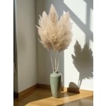 Sušená pampová tráva Cortaderia Fluffy přírodně světlá 120cm – Zboží Dáma