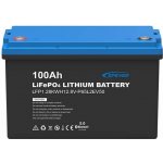 EPEVER LiFePO4 12,8V 100Ah 1280Wh Bluetooth M8 IP65 LFP1.28KWH12.8V-P65L2EV50 – Zboží Živě EPEVER LiFePO4 12,8V 100Ah 1280Wh Bluetooth M8 IP65 LFP1.28KWH12.8V-P65L2EV50 – Zboží Živě
