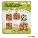 SAFARI Životní cyklus Zelená fazole – Hledejceny.cz