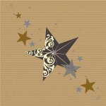 Sahm Ubrousek DNL WALK OF FAME KRAFT 50ks/bal 100022530 40x40cm – Hledejceny.cz