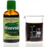 Bylinné kapky Olivovník tinktura 50 ml – Hledejceny.cz