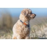 Trixie Polostahovací obojek BE NORDIC – Zbozi.Blesk.cz