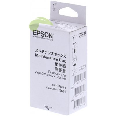 Epson C13T366100 - originální – Hledejceny.cz