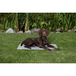 Trixie Chladicí podložka pro zvířata Soft šedá 110 x 70 cm – Zboží Dáma