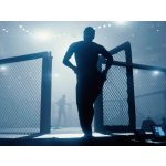 EA Sports UFC 5 – Zboží Živě