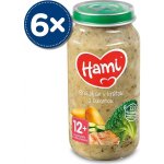 Hami Brokolice s krůtou a cuketou 6 x 250 g – Zboží Dáma