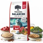 Velxara Balanced FM Dog Adult Monoprotein Beef & Rice 12 kg – Zboží Mobilmania