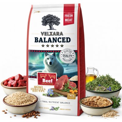 Velxara Balanced FM Dog Adult Monoprotein Beef & Rice 12 kg – Zboží Mobilmania