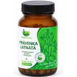 Homeovita Právenka latnatá 60 kapslí – Hledejceny.cz