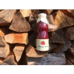 Nature Notea Babiččin sirup Malina 0,5 l – Zboží Dáma