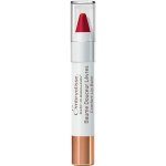 Embryolisse Tónovaný balzám na rty Rouge Intense (Comfort Lip Balm) 2,5 g – Hledejceny.cz