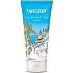 Aveda tělová emulze s rozmarýnem a mátou Rosemary Mint tělové mléko 200 ml – Hledejceny.cz