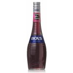 Bols Creme de Cassis 17% 0,7 l (holá láhev) – Hledejceny.cz